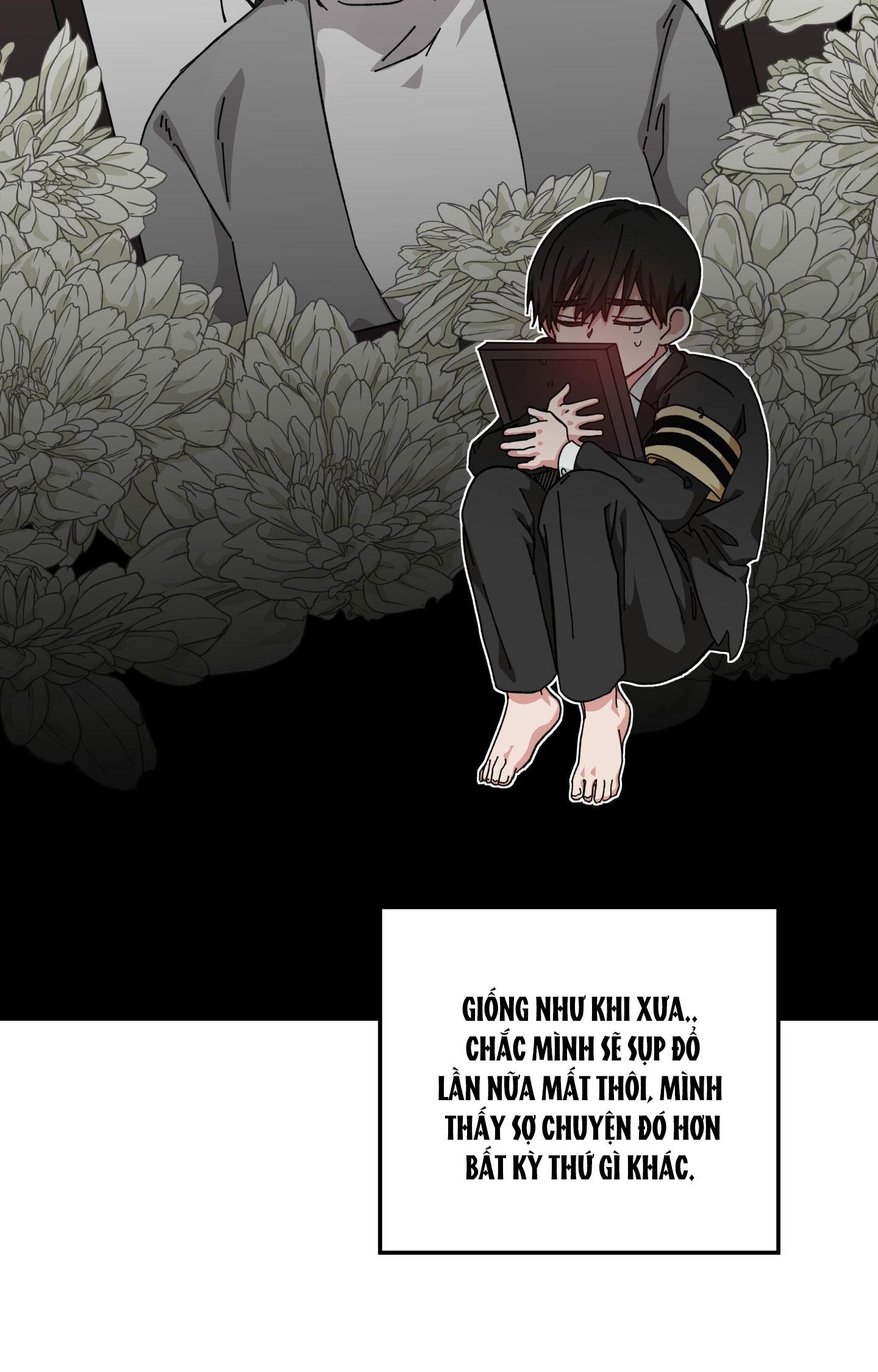 yêu tôi đi, thần hộ mệnh chapter 19 48