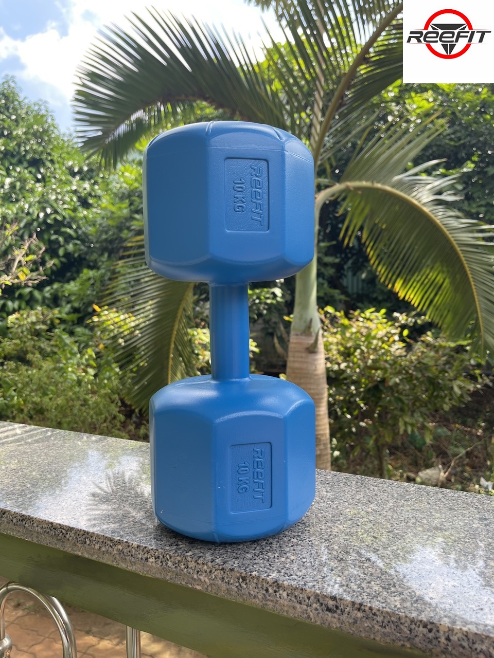 Vỏ tạ tay nhựa bát giác 12kg REEFIT