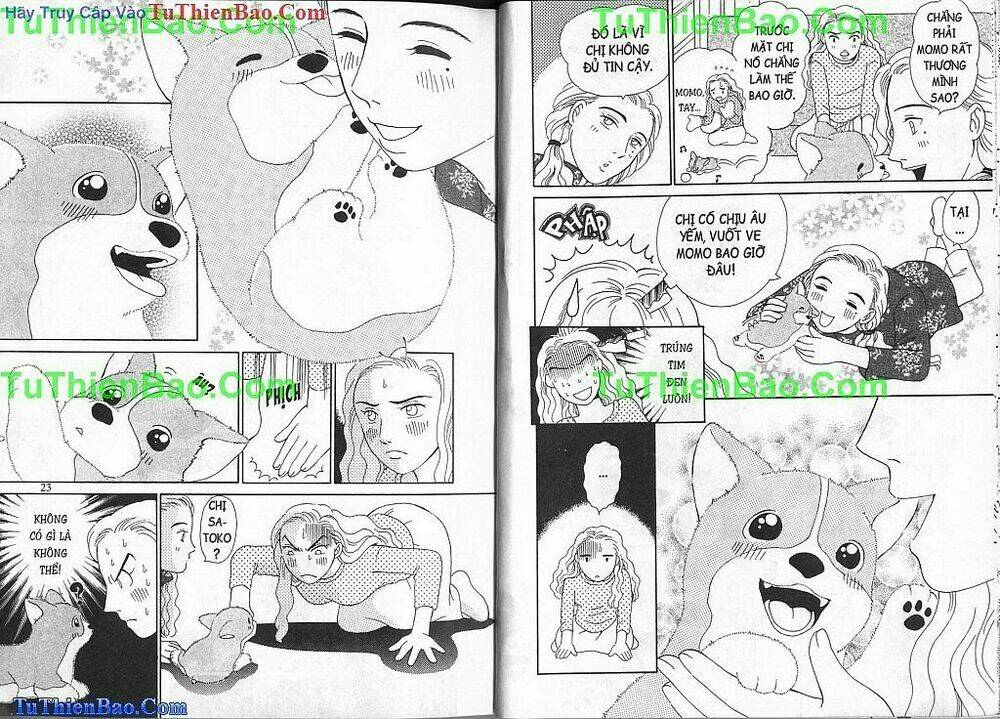 chó con mo mo chapter 2 12