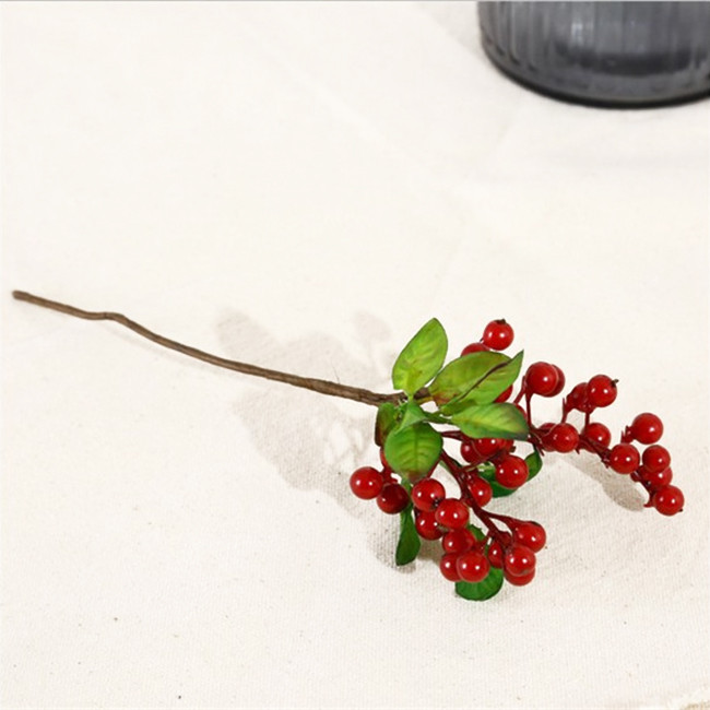 Cành quả cherry Cành quả cherry
