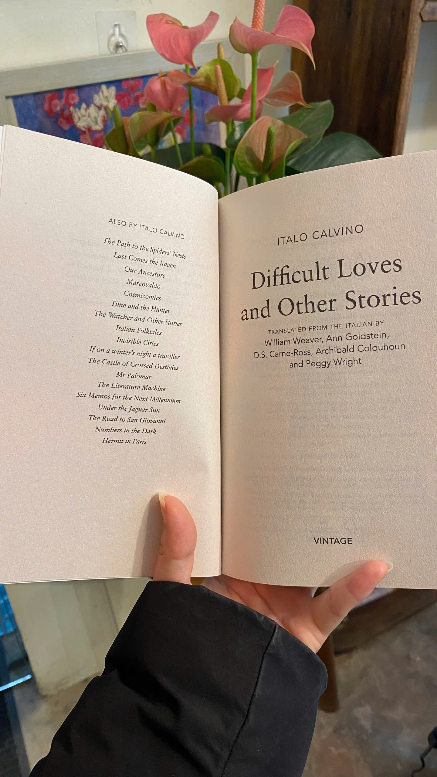 Sách - Difficult Loves & Other Stories - Italo Calvino| Short Stories/ Fiction / Ngoại văn Nhập khẩu