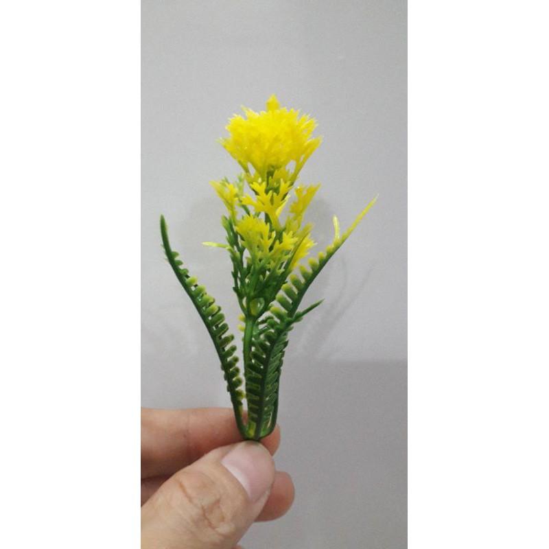 100gr Cỏ điểm ký trộn mẫu hoặc 1 mẫu