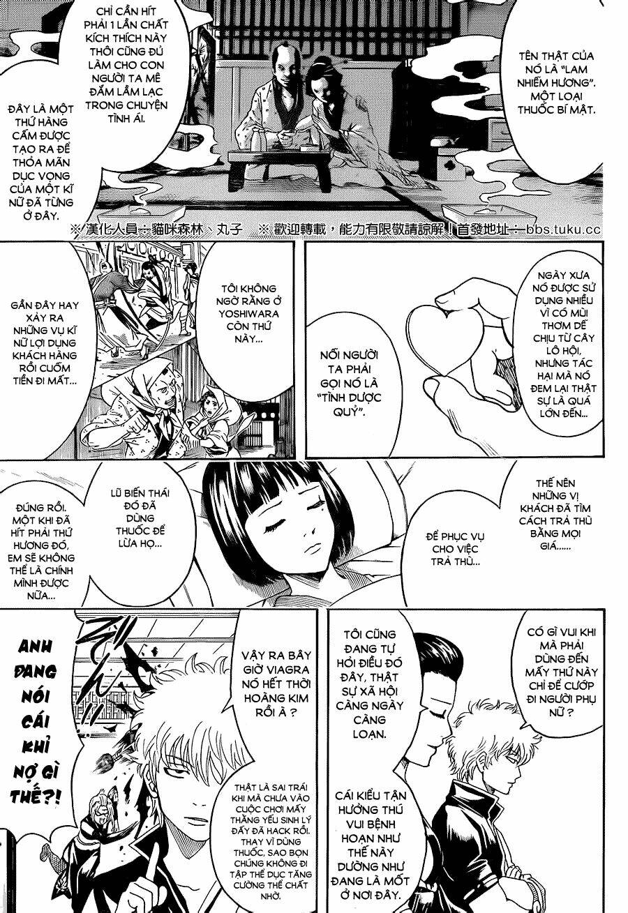 gintama - linh hồn bạc chapter 492 11