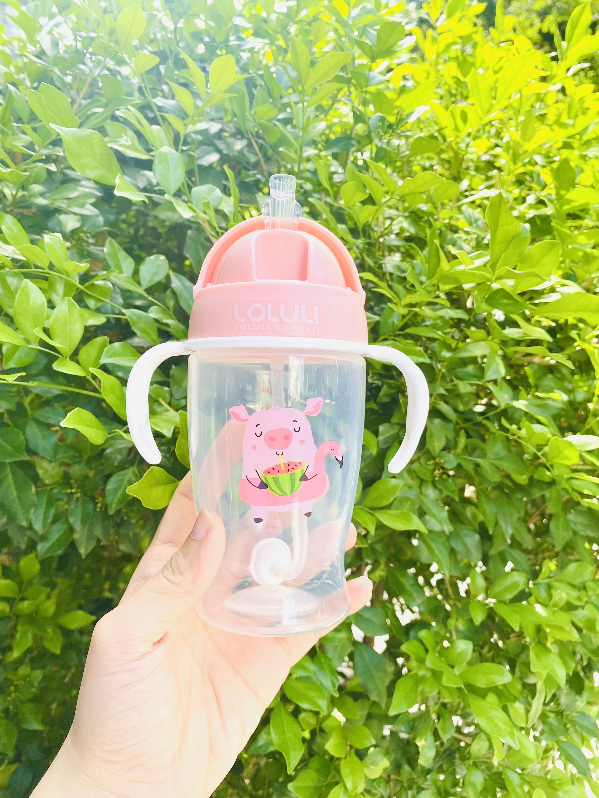 Bình tập uống nước Loluli nhựa PP 280ml