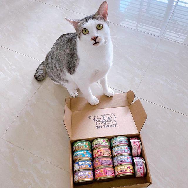 Pate mèo dạng súp gà sợi nhuyễn mix 8 vị - 1 Thúng 24 lon pate thức ăn ướt cho mèo Aatas Cat nhập khẩu Thái Lan