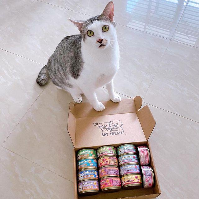 Pate Cho Mèo Aatas Cat - 1 Thùng 24 lon 80g Nguyên Chất Từ Cá Ngừ Mix Với 12 Vị Thơm Ngon - Không Chất Bảo Quản