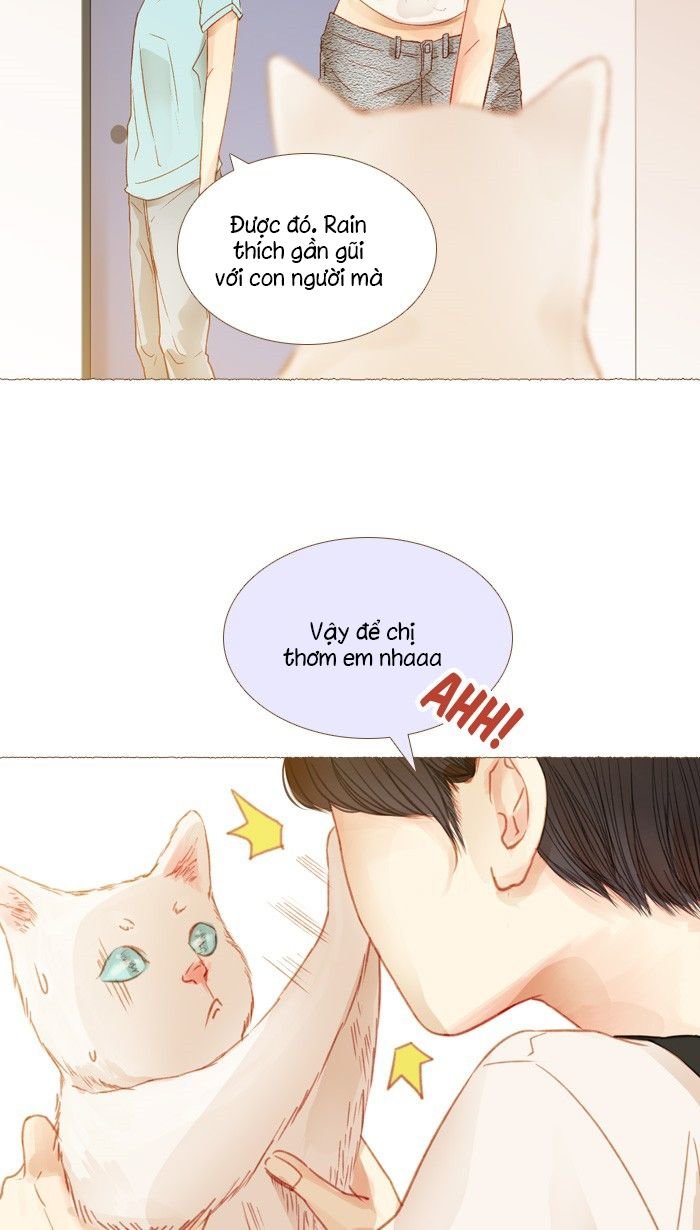 little rain chapter 13 24