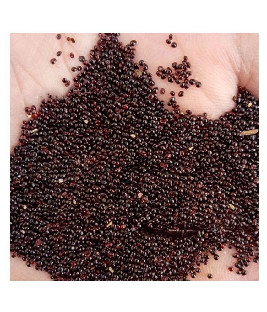 Hạt giống rau dền lá liễu xanh 1 gói 20gram
