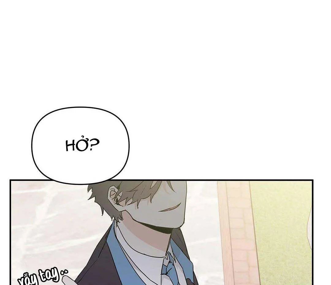 guide cấp b chapter 8 28