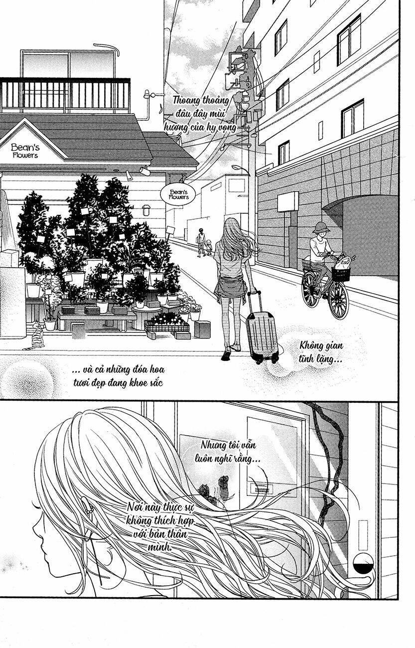 đóa hoa năm ấy chapter 1 5