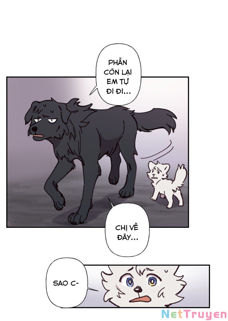 lumine - cội nguồn ánh sáng chapter 82 19