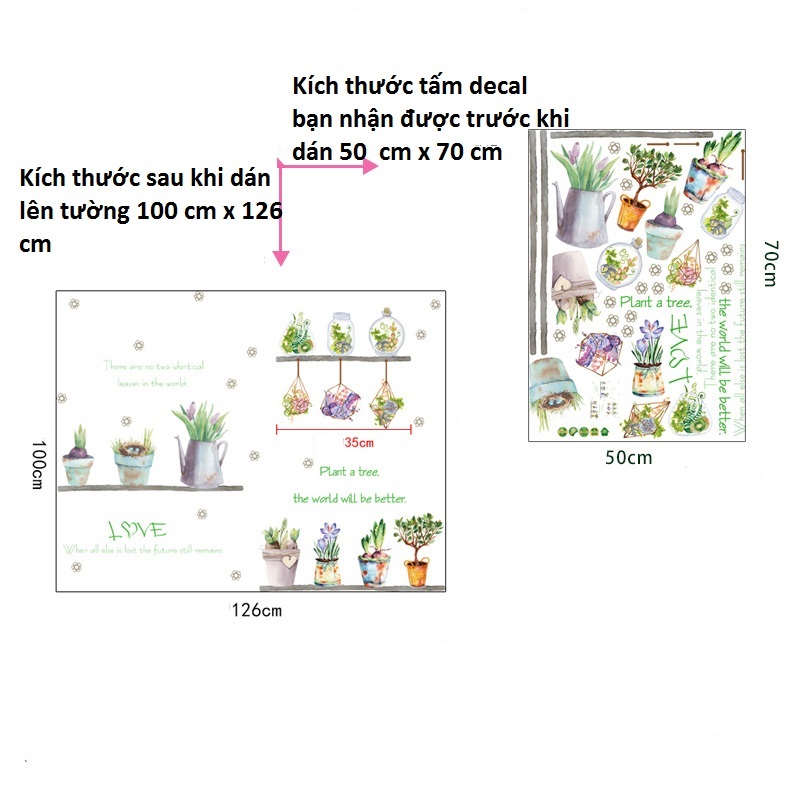 Decal dán tường trang trí xanh mát những chậu hoa nhỏ dễ thương