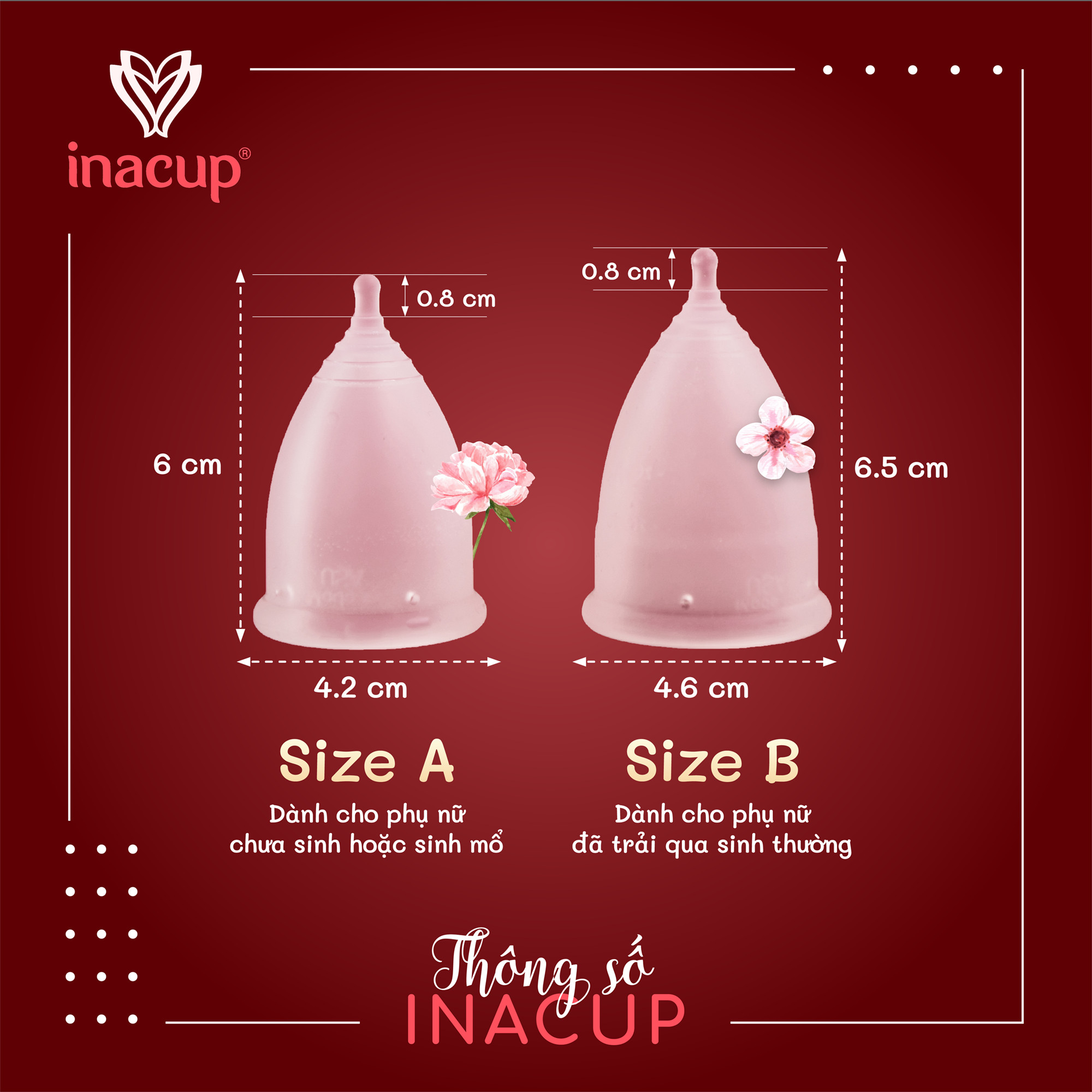 Cốc nguyệt san Inacup size A