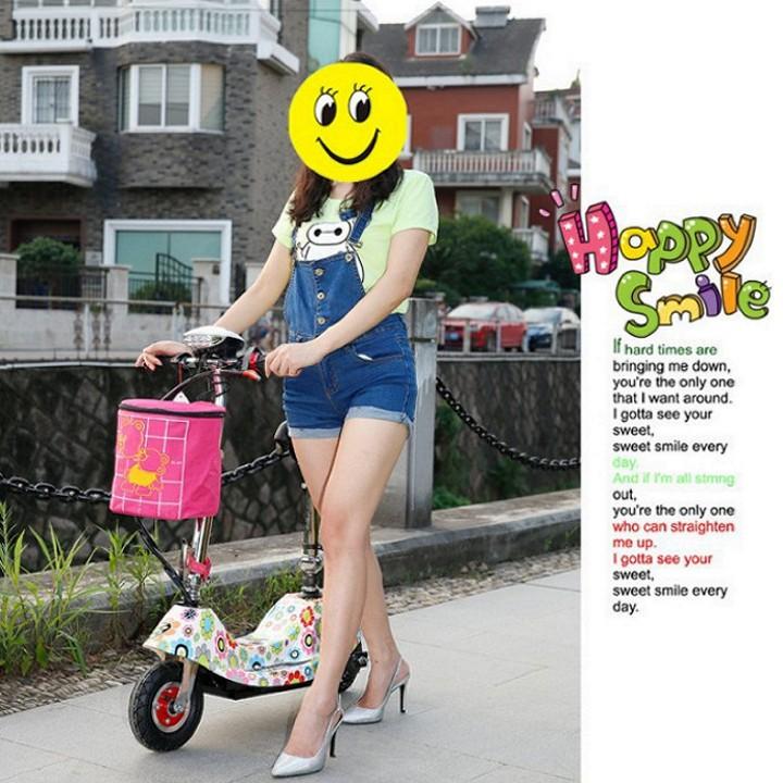 Xe điện scooter tải trọng 120kg 24V có giỏ xách tốc độ 30km/h - Home and Garden