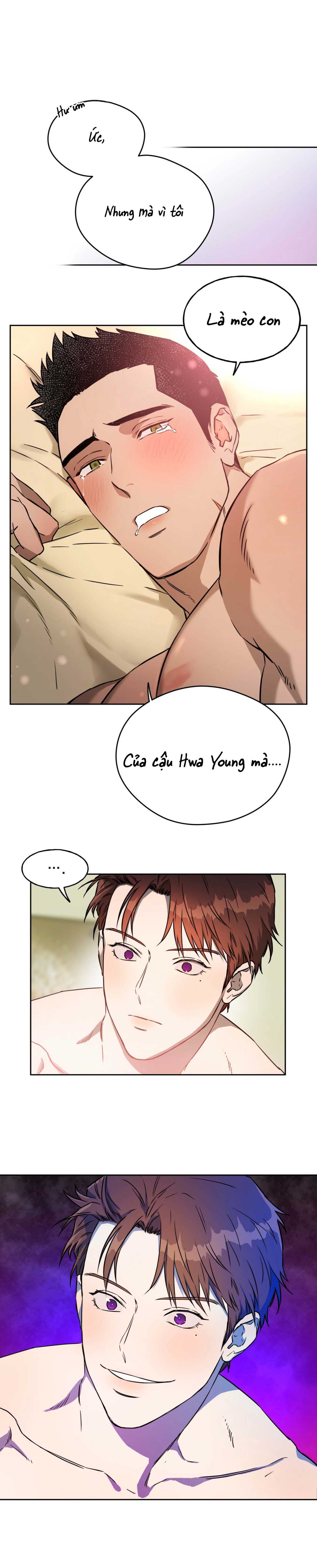 ang ang chapter 22 6