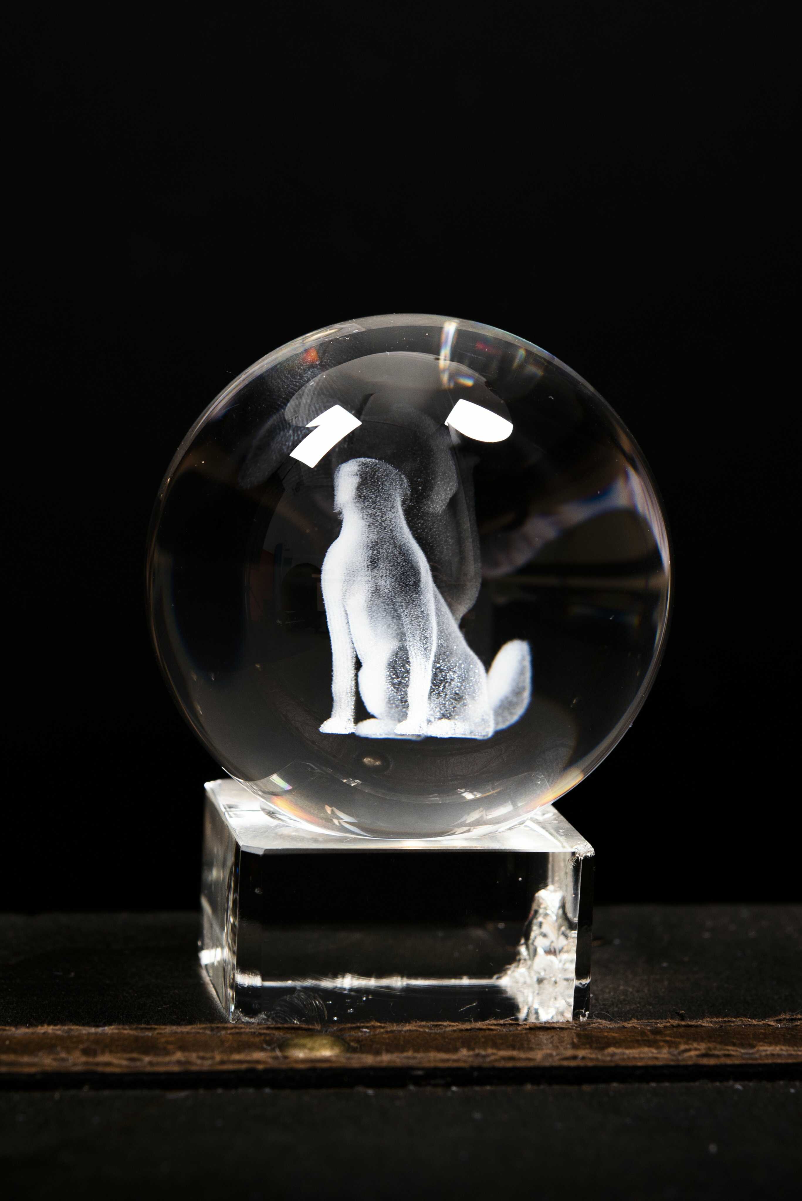 Quả pha lê 3D con chó tuổi Tuất quà tặng đế pha lê độc đáo