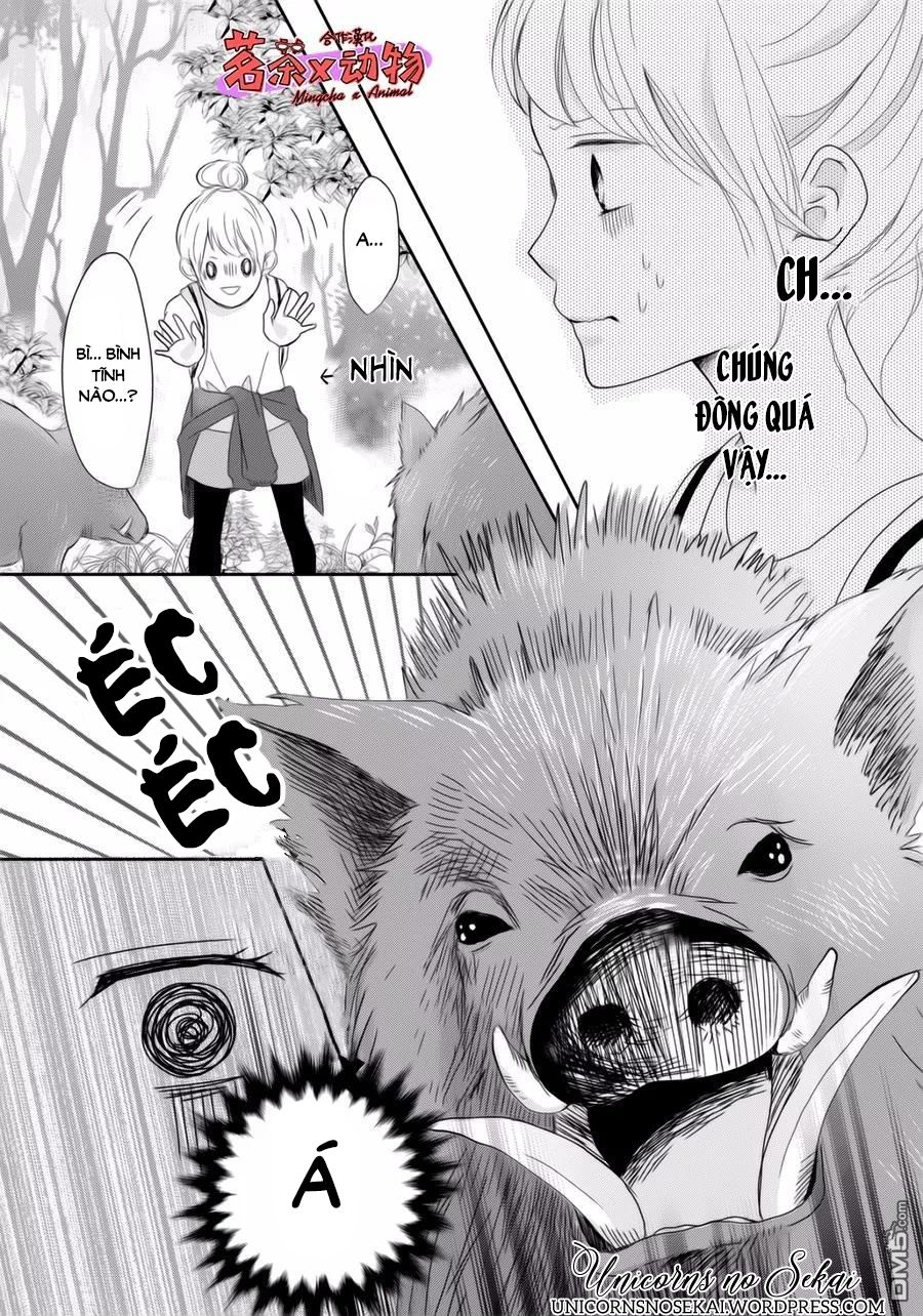 anadorenai ne kitami-kun chapter 6 25