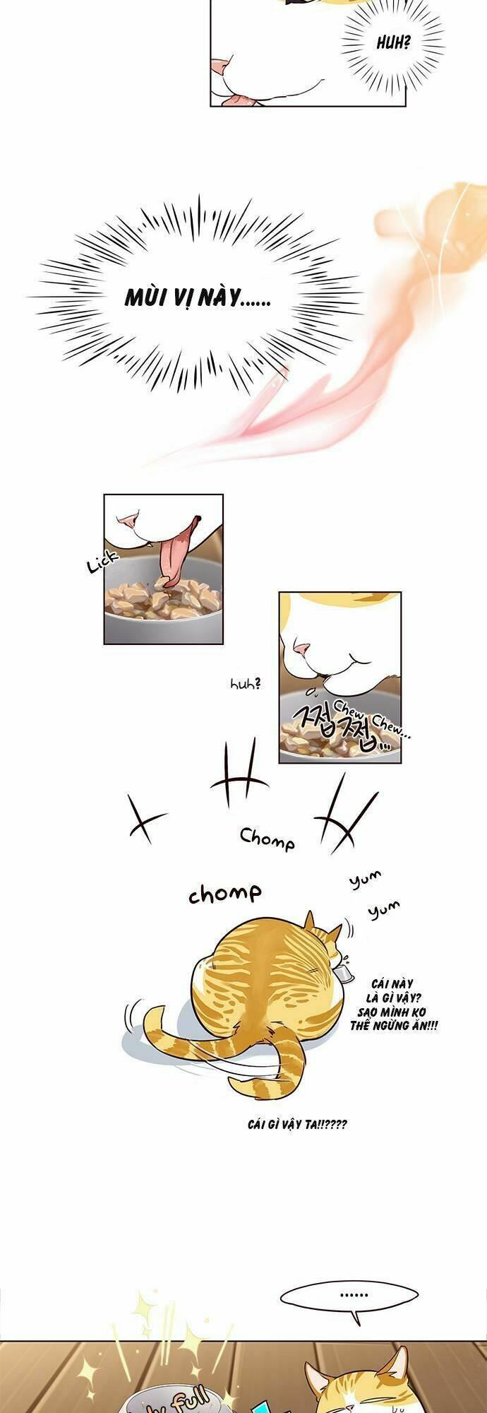 biến thân thành mèo chapter 2 13