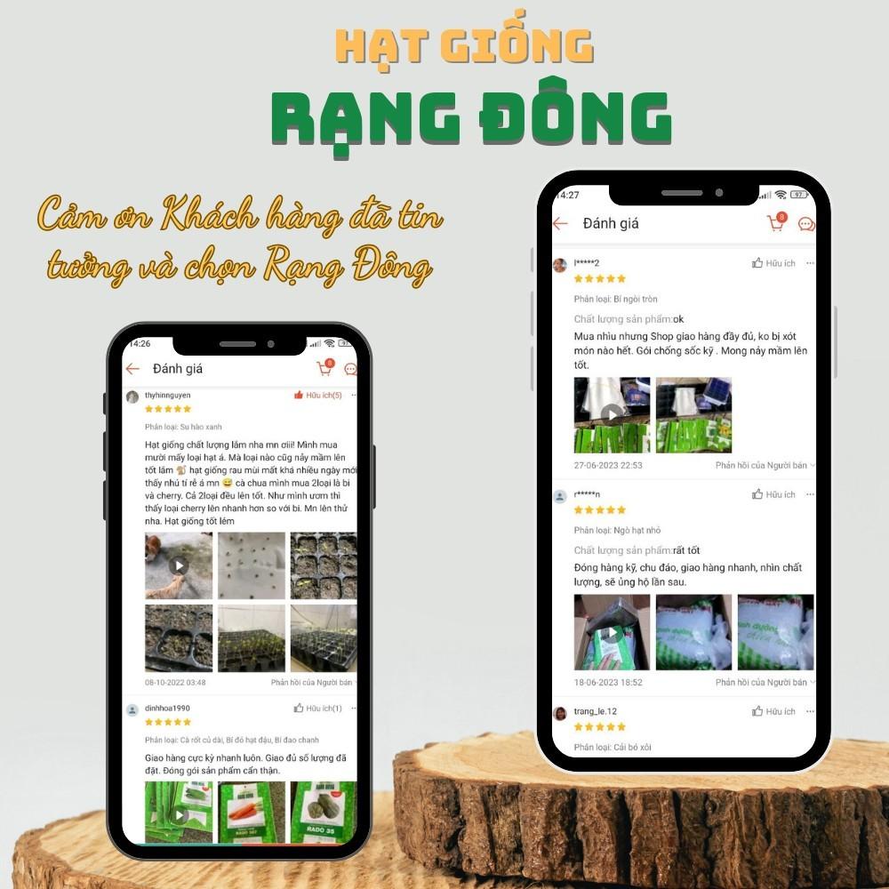 Hạt giống Củ nảy mầm tốt, sinh trưởng khỏe, trồng được quanh năm, dễ chăm sóc - Hạt giống Rạng Đông