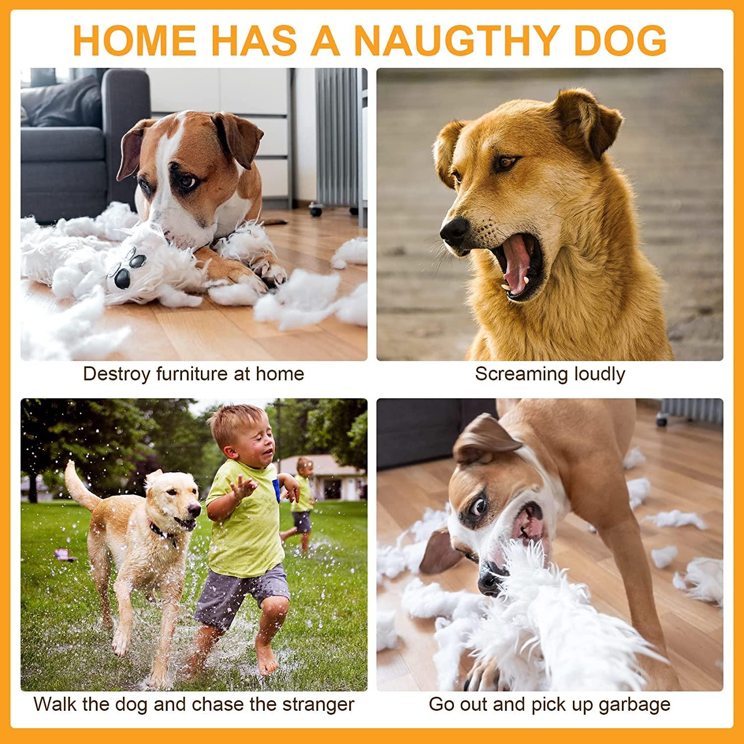 2 Mõm Chó, Bịt Miệng Chó Chống Sủa Nhai