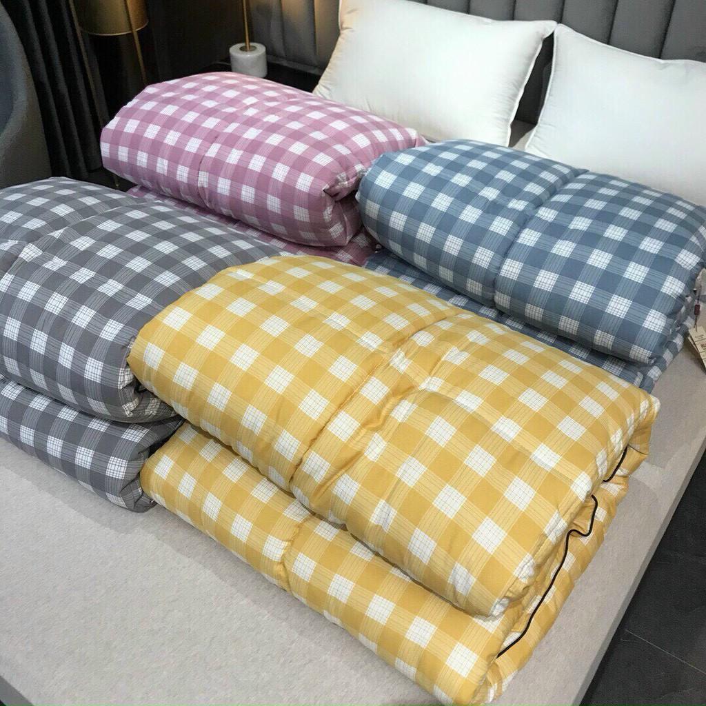 Chăn Lông Vũ Hàng Kẻ Siêu Hot, Siêu Ấm Áp Đầy Đủ 4 Tone Màu Cho Khách Chọn Lựa