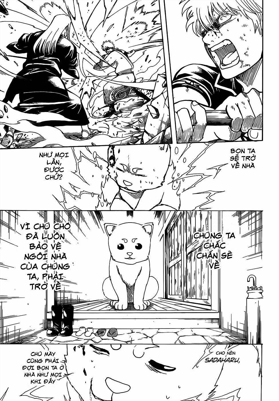gintama - linh hồn bạc chapter 664 12