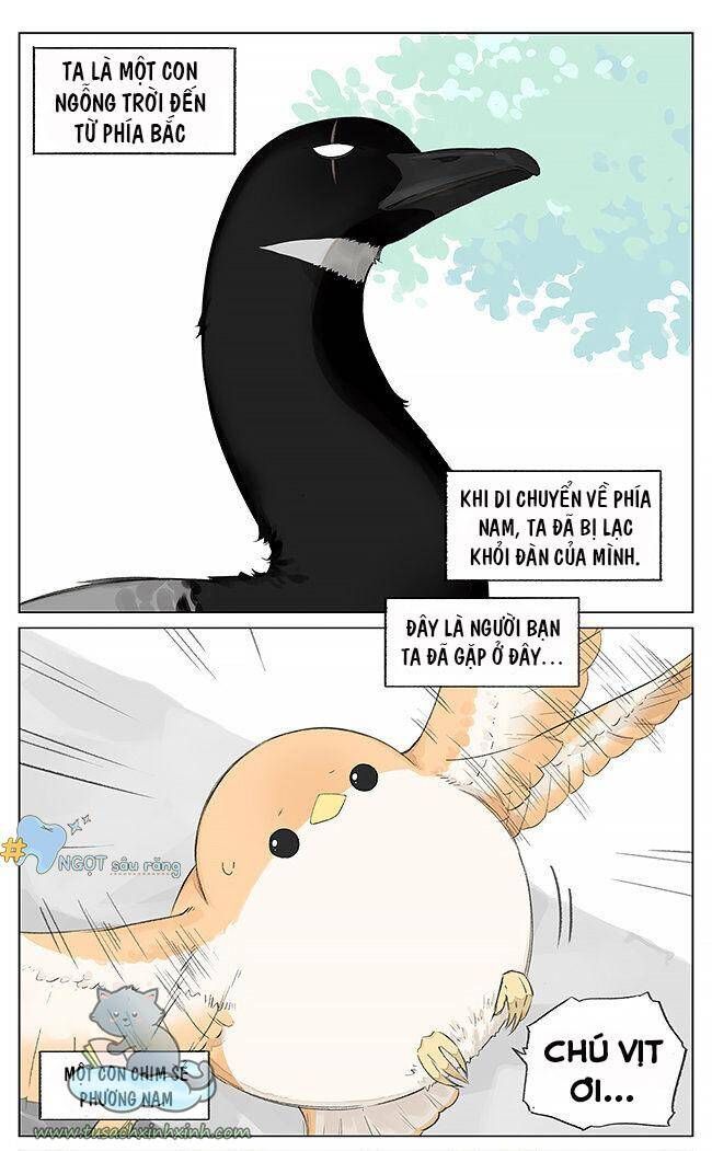 chim sẻ gọi ngỗng trời chapter 5 2