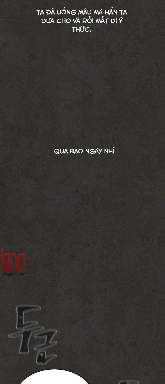 Máu trắng chapter 13.2 11