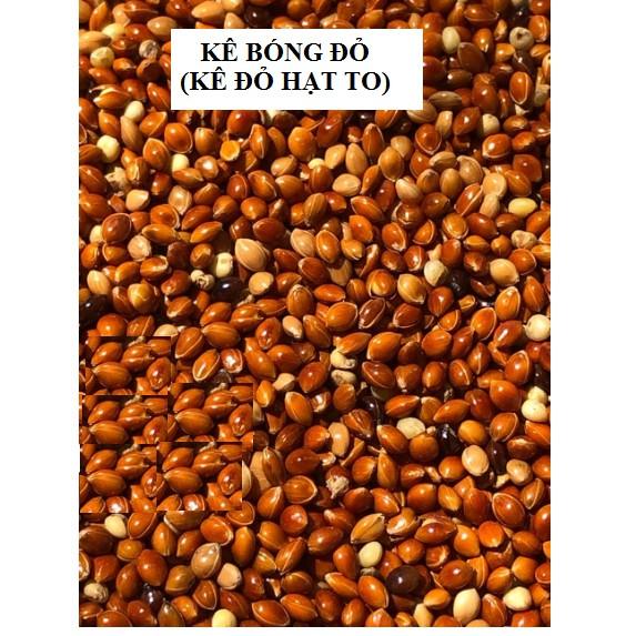 1KG HẠT KÊ BÓNG ĐỎ CHO CHIM CẢNH, VẸT, YẾN PHỤNG