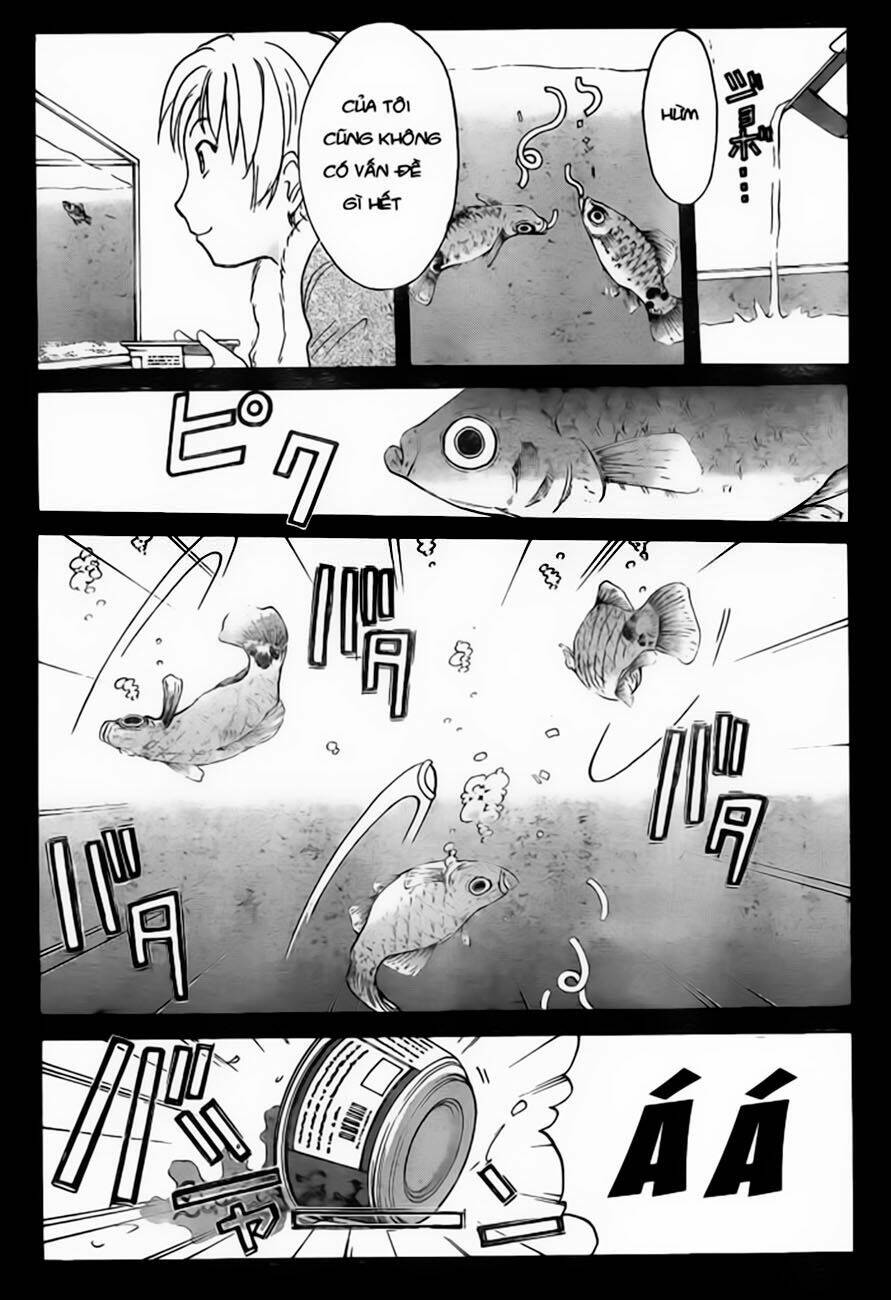 thám tử kindaichi - phần 2 chapter 100 21