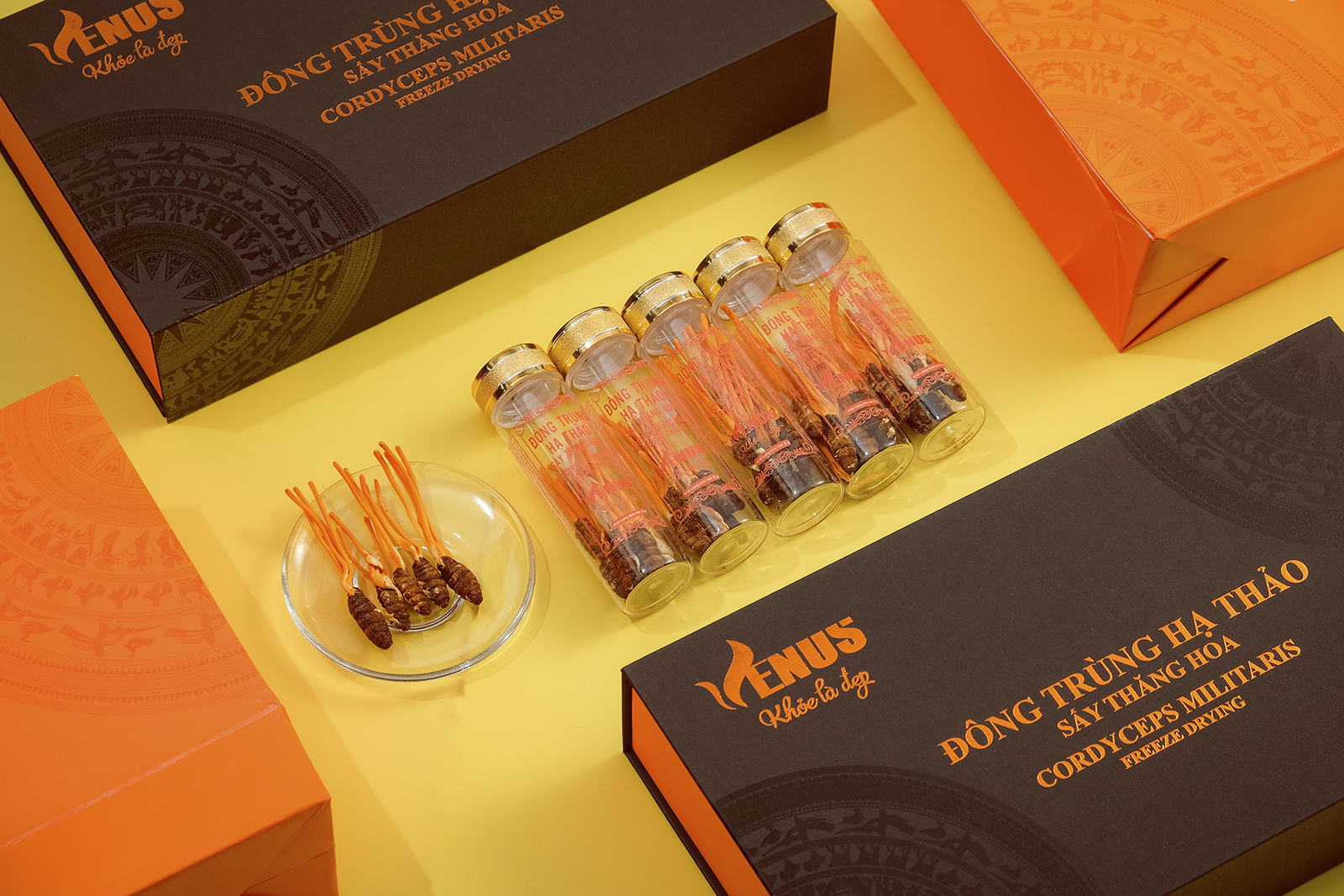 Đông trùng hạ thảo nguyên con sấy thăng hoa Venus 10g - Nhộng trùng thảo khô, tăng cường sức đề kháng, cải thiện sinh lý cả nam và nữ, phục hồi sức khỏe nhanh