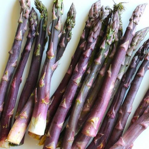 Hạt giống Măng Tây Tím - Gói 20 hạt