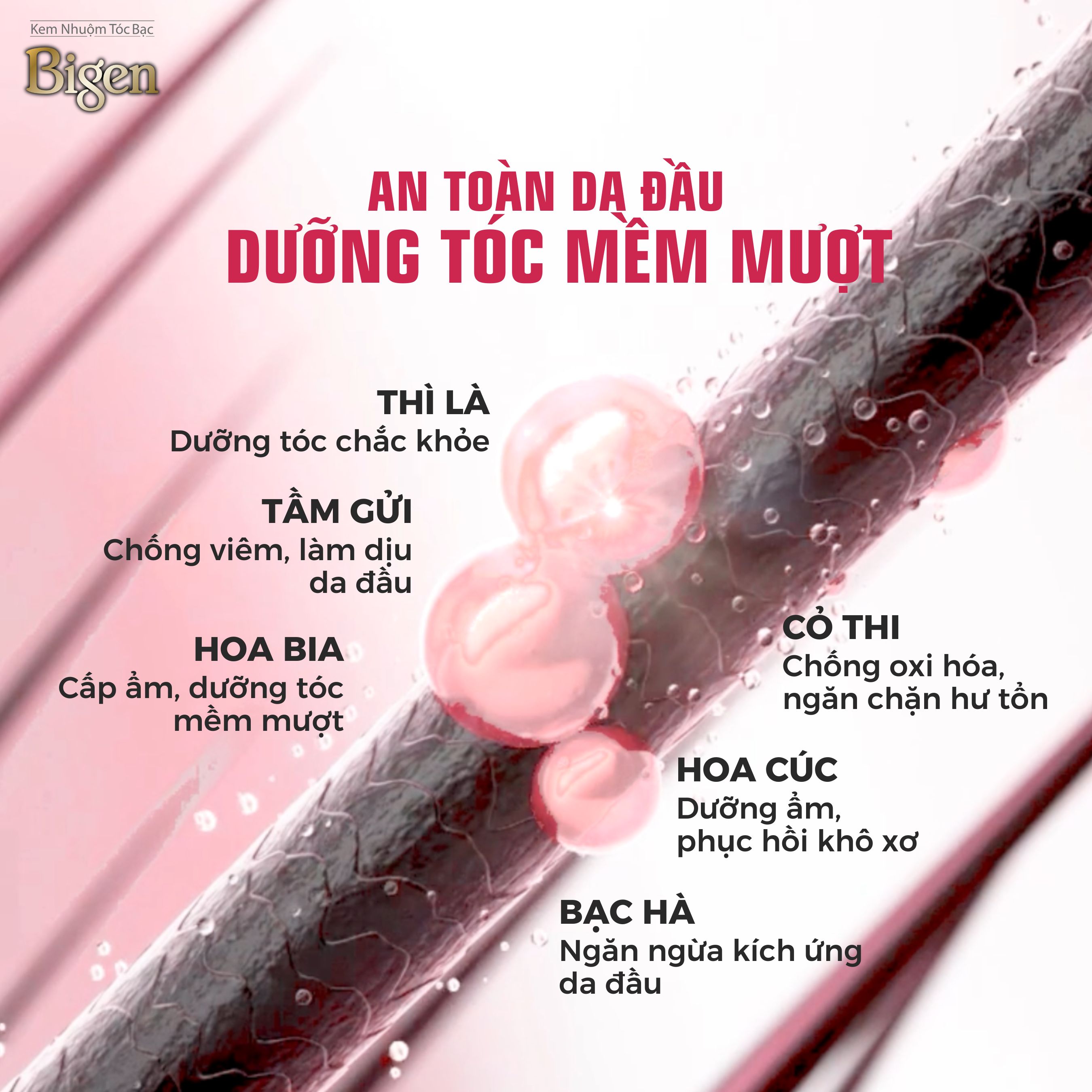 Thuốc nhuộm dưỡng tóc phủ bạc thảo dược Bigen Conditioner Thương hiệu Nhật Bản 80ml dạng kem - BHCC