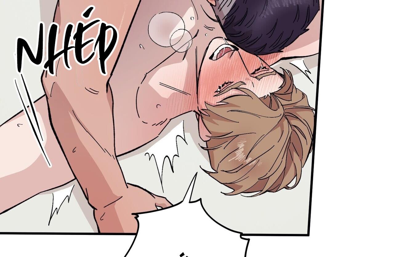 chàng dâu nhà họ kang chapter 46 108