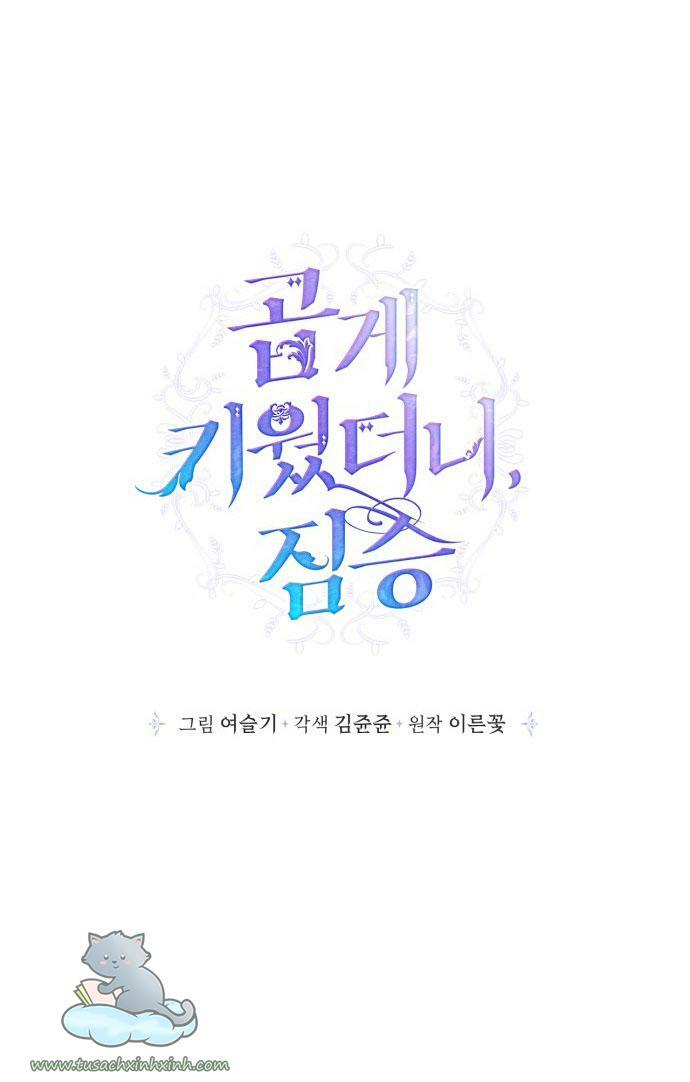 tôi đang nuôi dưỡng một con quái thú chapter 54 17