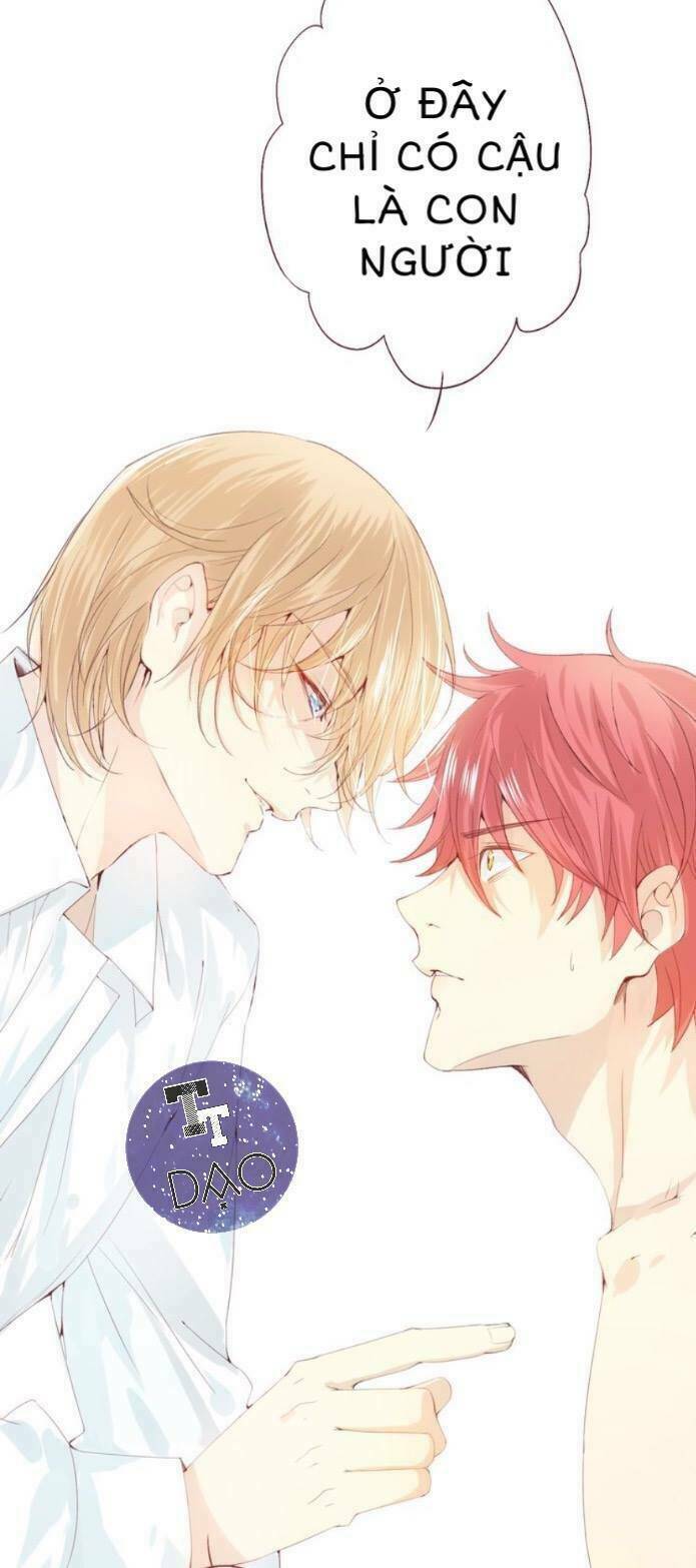 tôi không phải đa nhân cách chapter 3 13