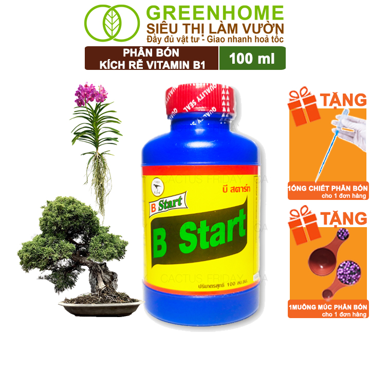 Phân Bón Kích Rễ, Greenhome, B1, Chai 100ml, Tạo Mầm, Rễ Khoẻ, Sai Hoa, Phục Hồi Rễ Yếu, Lá Dày
