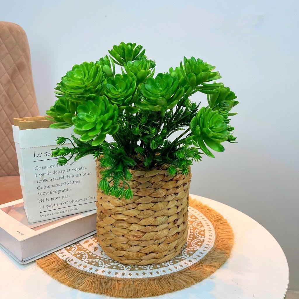 Chậu cây trang trí để bàn kèm giỏ y hình các loại - Cao 35cm đến 48cm - Cây giả, hoa lụa Decor trang trí nhà cửa