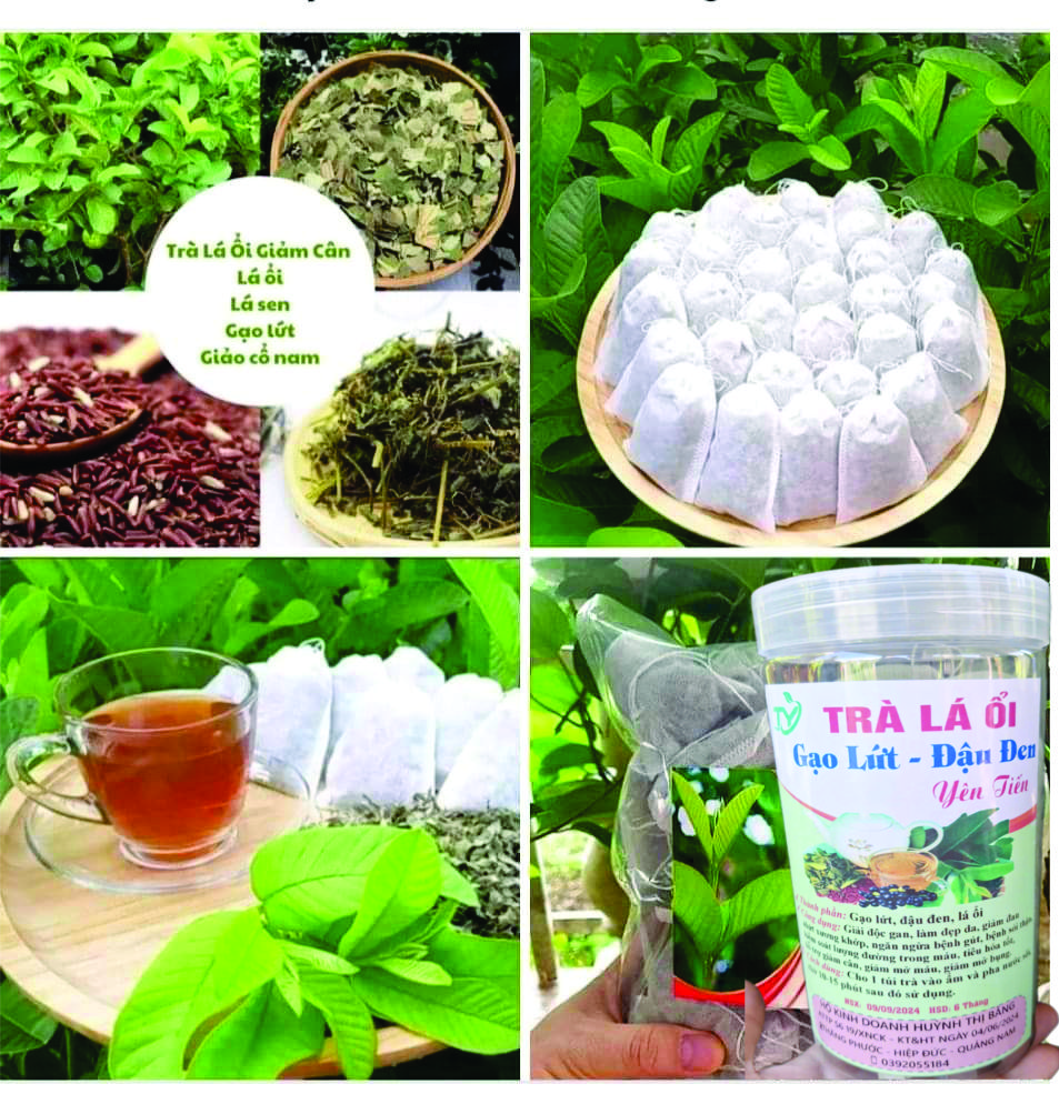 Trà lá ổi túi lọc 35 túi - Tan mỡ giảm cân, ngừa tiểu đường