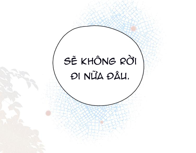 nỗi buồn của hoa cẩm tú cầu chapter 0 26