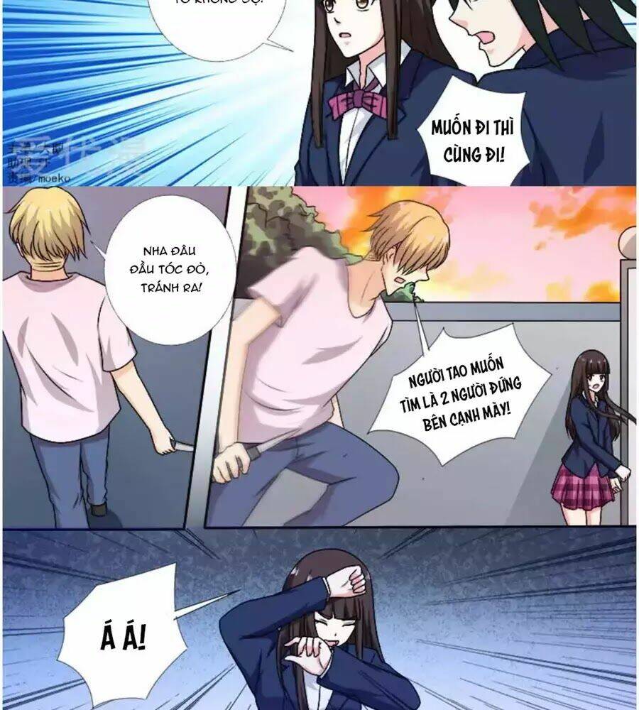 bạn trai hắc đạo của tôi chapter 279 2