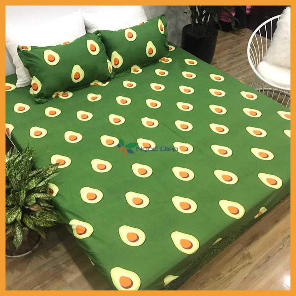 Set vỏ chăn ga gối cotton poly mẫu quả bơ m2, m6, m8, 2m2