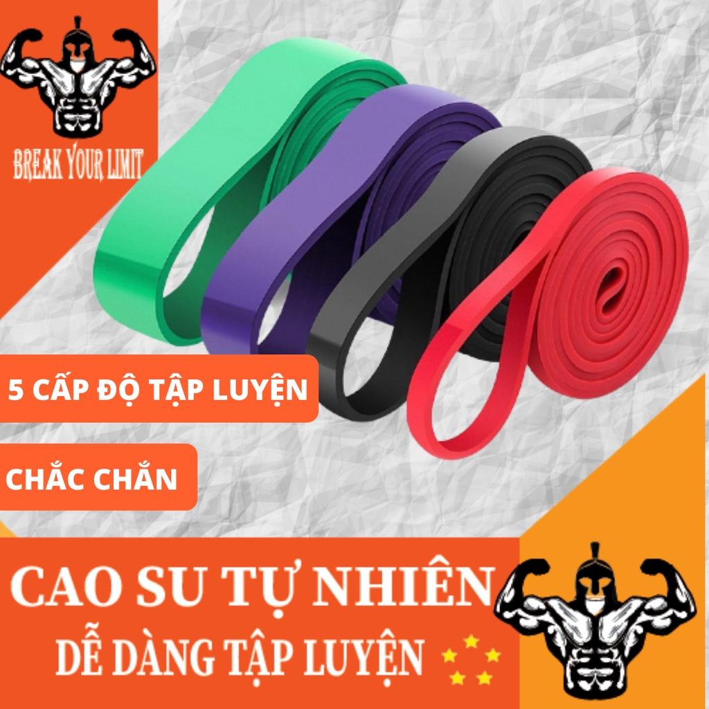 Dây đàn hồi đa năng kháng lực Power Band tập luyện Squat, Chống đẩy, Cơ tay trong Gym, Calisthenics, Streetworkout, Yoga