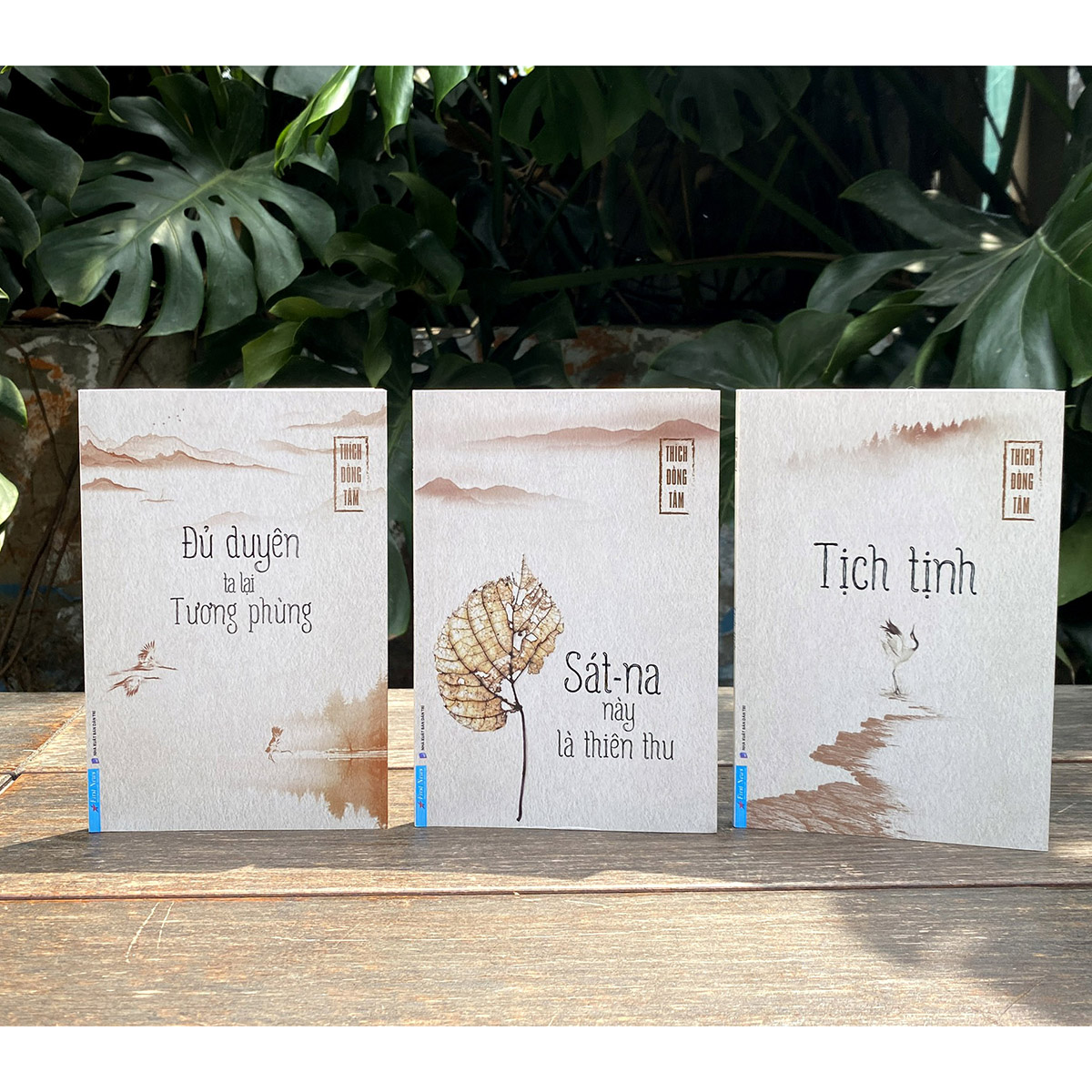 Tịch Tịnh