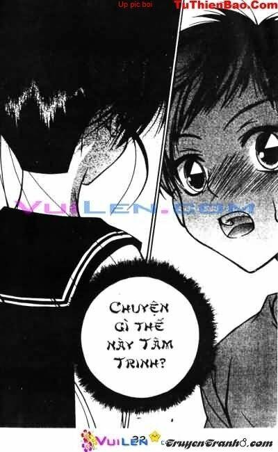 đóa hoa anh đào chapter 4 33