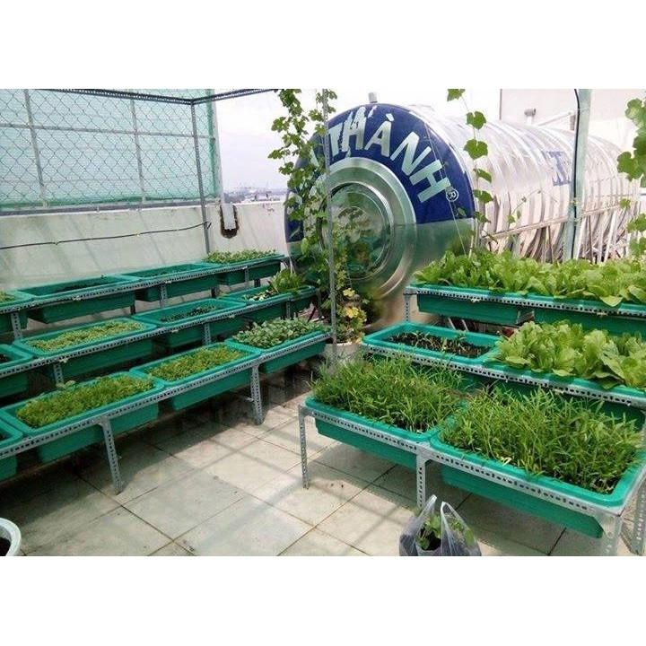 Kệ sắt V đa năng trồng cây trồng rau thông minh 2 tầng dùng cho khay nhựa trồng rau sạch 65x42cm, 68x43cm