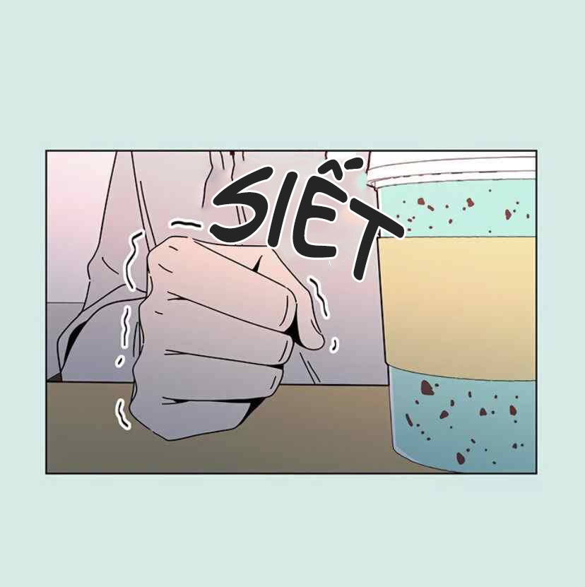 thanh xuân rực rỡ - season of blossom chapter 57 77