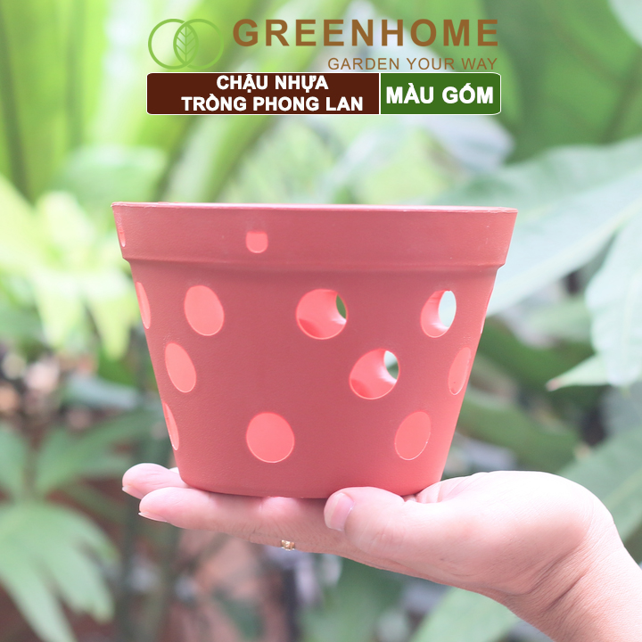 Chậu nhựa trồng phong lan, R15xC10cm, màu gốm, bền, đẹp, chống rơi vỡ, giá thành tốt |Greenhome