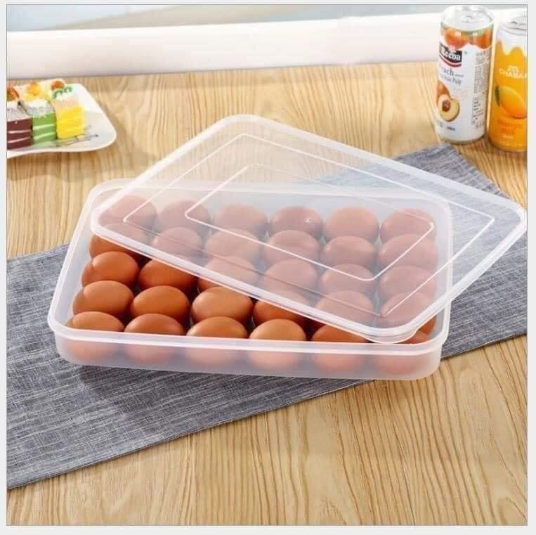 Hộp đựng trứng 24 quả