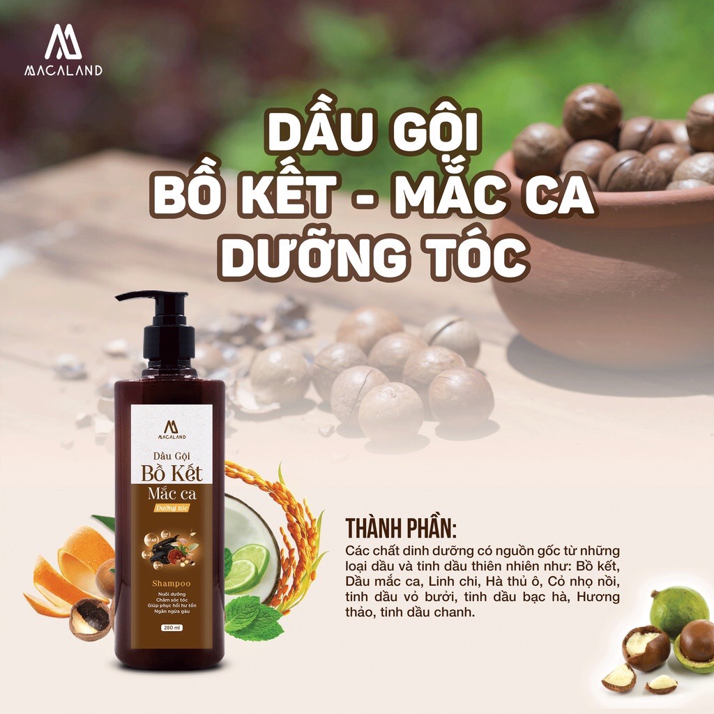 Combo dầu gội bồ kết dưỡng tóc và dầu xả, dầu dưỡng tóc phục hồi tóc khô xơ hư tổn